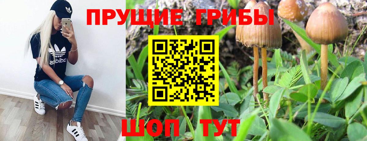 Псилоцибиновые грибы Psilocybine cubensis  Вход с VPN  Куйбышев 